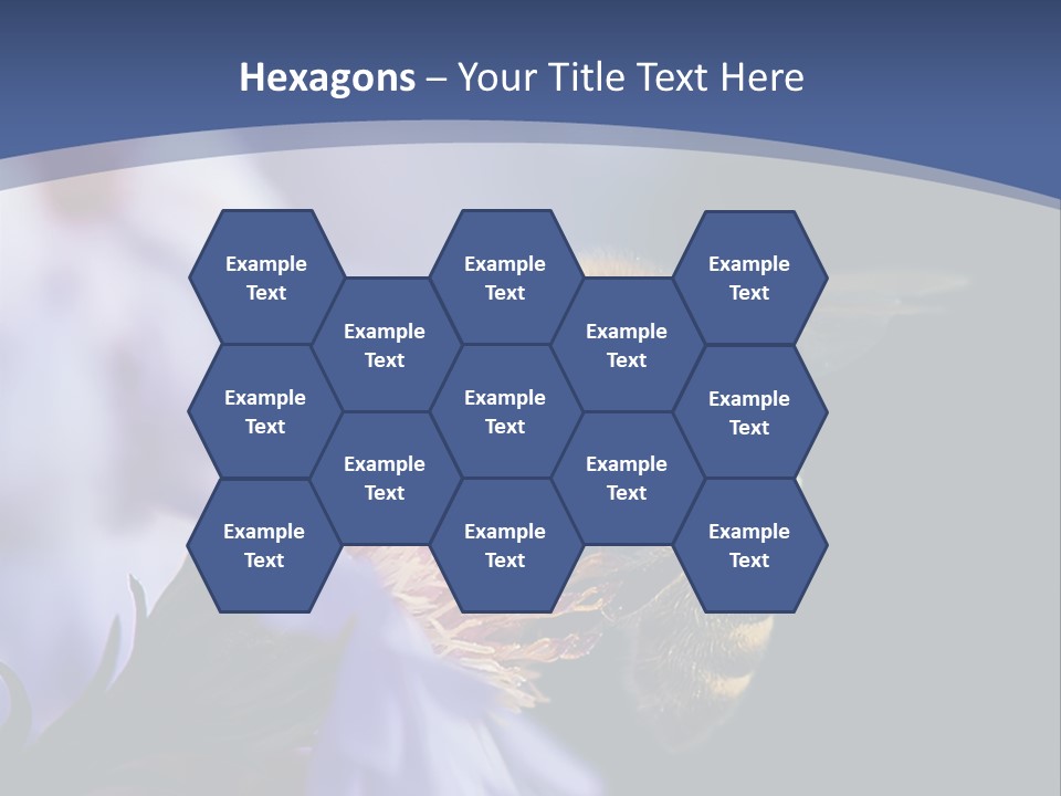 A Bee On A Flower Powerpoint Template PowerPoint Template