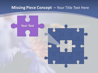 A Bee On A Flower Powerpoint Template PowerPoint Template