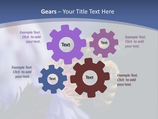 A Bee On A Flower Powerpoint Template PowerPoint Template