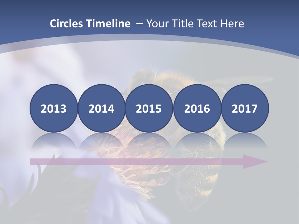 A Bee On A Flower Powerpoint Template PowerPoint Template