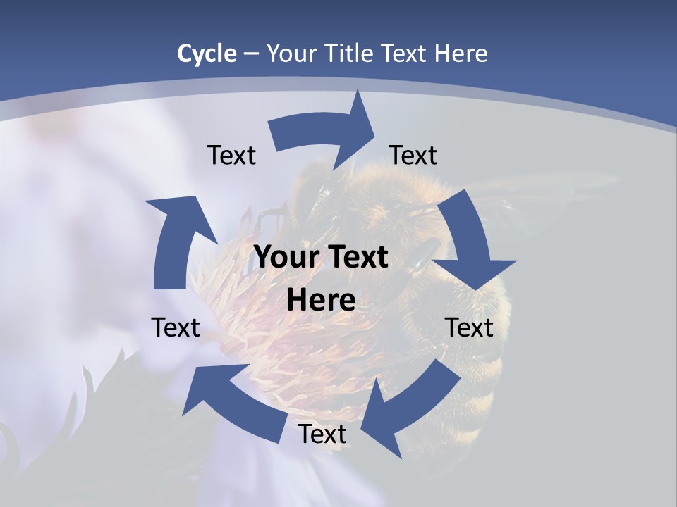 A Bee On A Flower Powerpoint Template PowerPoint Template