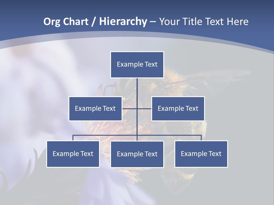 A Bee On A Flower Powerpoint Template PowerPoint Template
