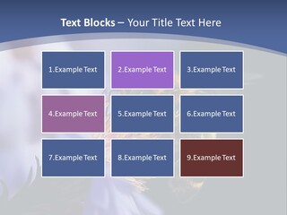 A Bee On A Flower Powerpoint Template PowerPoint Template