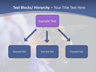 A Bee On A Flower Powerpoint Template PowerPoint Template