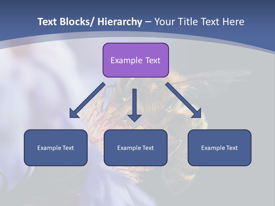 A Bee On A Flower Powerpoint Template PowerPoint Template