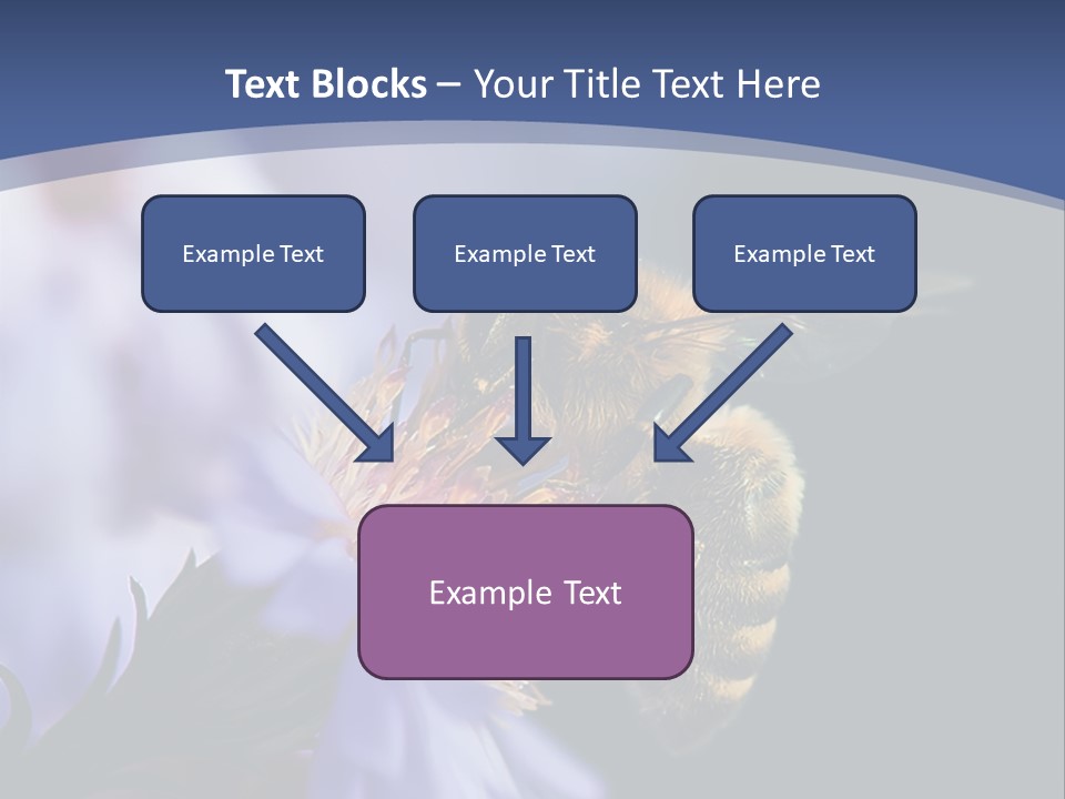 A Bee On A Flower Powerpoint Template PowerPoint Template
