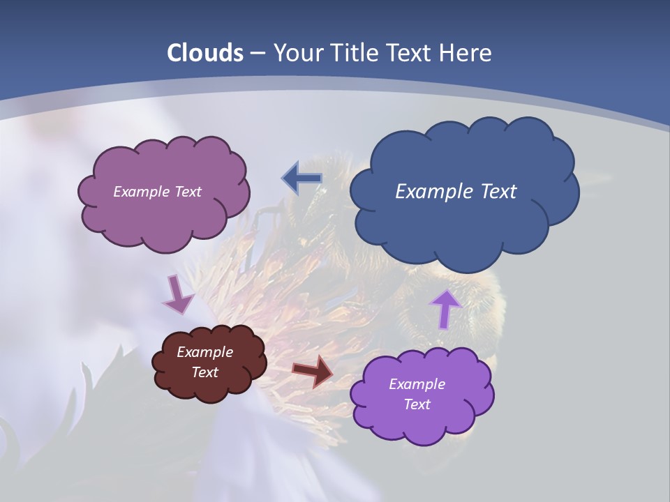 A Bee On A Flower Powerpoint Template PowerPoint Template