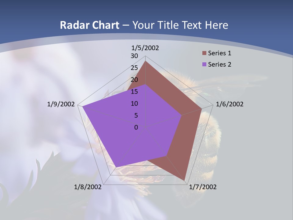A Bee On A Flower Powerpoint Template PowerPoint Template