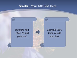 A Bee On A Flower Powerpoint Template PowerPoint Template
