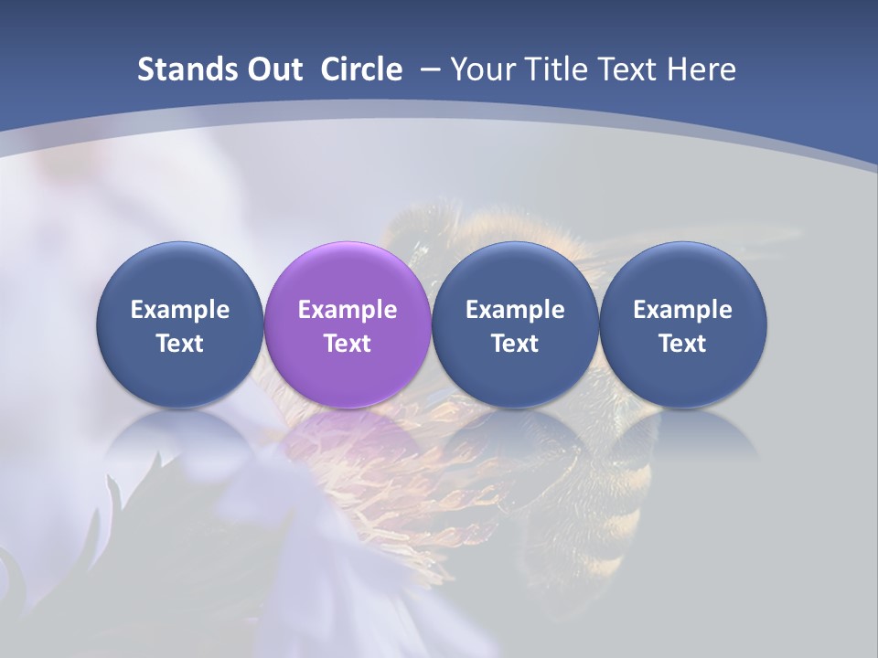 A Bee On A Flower Powerpoint Template PowerPoint Template