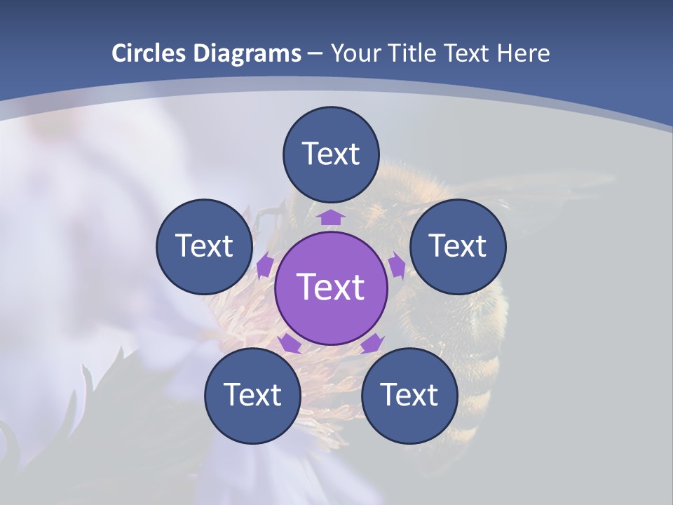 A Bee On A Flower Powerpoint Template PowerPoint Template