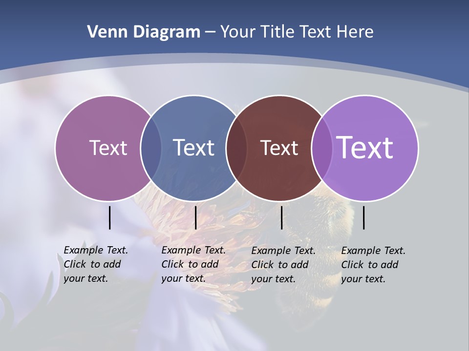 A Bee On A Flower Powerpoint Template PowerPoint Template