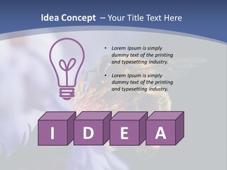 A Bee On A Flower Powerpoint Template PowerPoint Template