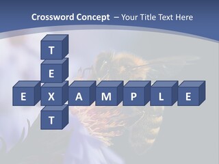 A Bee On A Flower Powerpoint Template PowerPoint Template