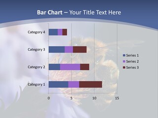 A Bee On A Flower Powerpoint Template PowerPoint Template