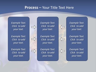 A Bee On A Flower Powerpoint Template PowerPoint Template
