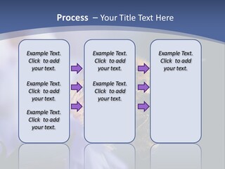 A Bee On A Flower Powerpoint Template PowerPoint Template