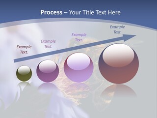 A Bee On A Flower Powerpoint Template PowerPoint Template