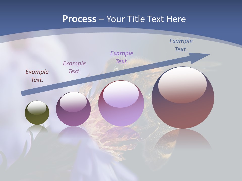 A Bee On A Flower Powerpoint Template PowerPoint Template