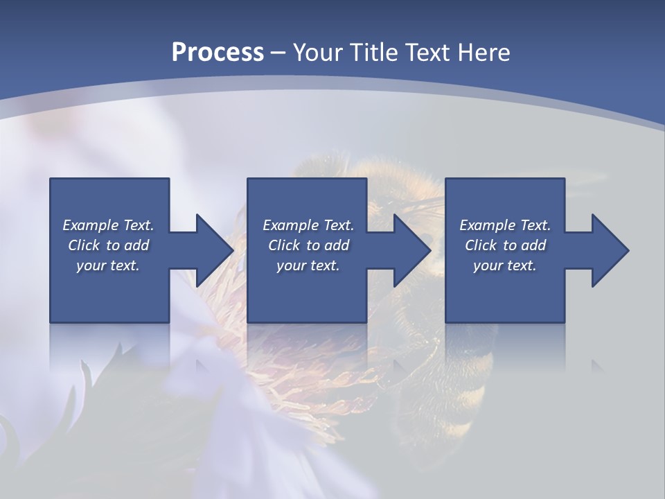 A Bee On A Flower Powerpoint Template PowerPoint Template