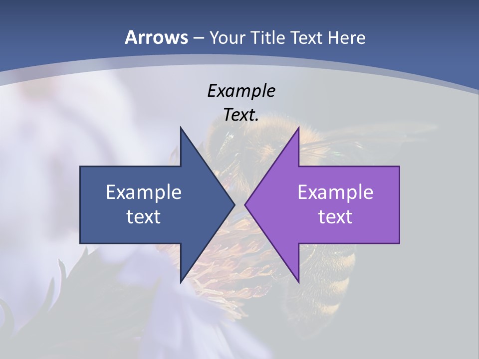 A Bee On A Flower Powerpoint Template PowerPoint Template