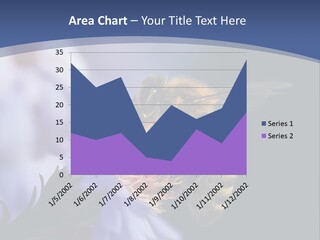 A Bee On A Flower Powerpoint Template PowerPoint Template