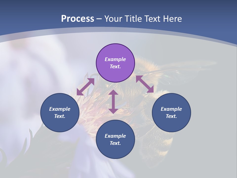 A Bee On A Flower Powerpoint Template PowerPoint Template