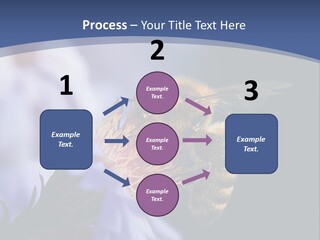 A Bee On A Flower Powerpoint Template PowerPoint Template