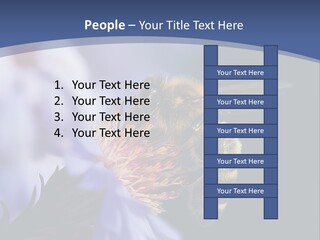 A Bee On A Flower Powerpoint Template PowerPoint Template
