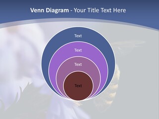 A Bee On A Flower Powerpoint Template PowerPoint Template