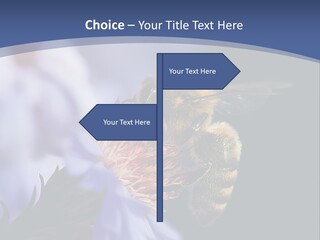 A Bee On A Flower Powerpoint Template PowerPoint Template