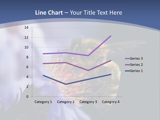 A Bee On A Flower Powerpoint Template PowerPoint Template