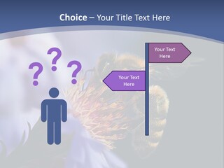 A Bee On A Flower Powerpoint Template PowerPoint Template
