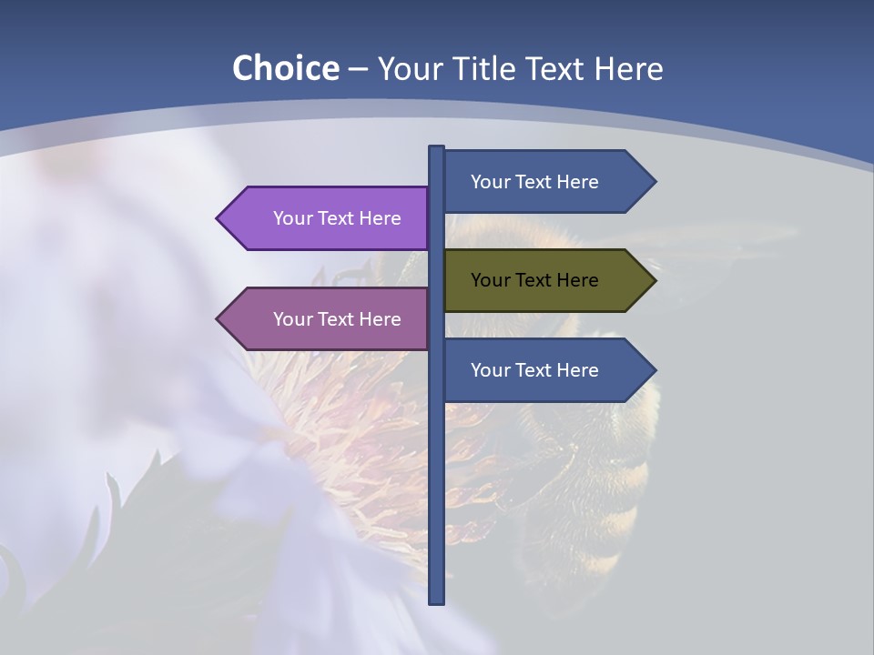 A Bee On A Flower Powerpoint Template PowerPoint Template