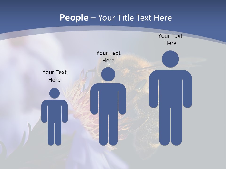 A Bee On A Flower Powerpoint Template PowerPoint Template