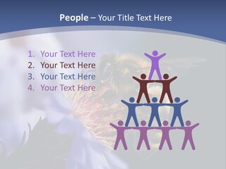 A Bee On A Flower Powerpoint Template PowerPoint Template
