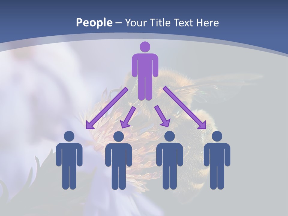 A Bee On A Flower Powerpoint Template PowerPoint Template