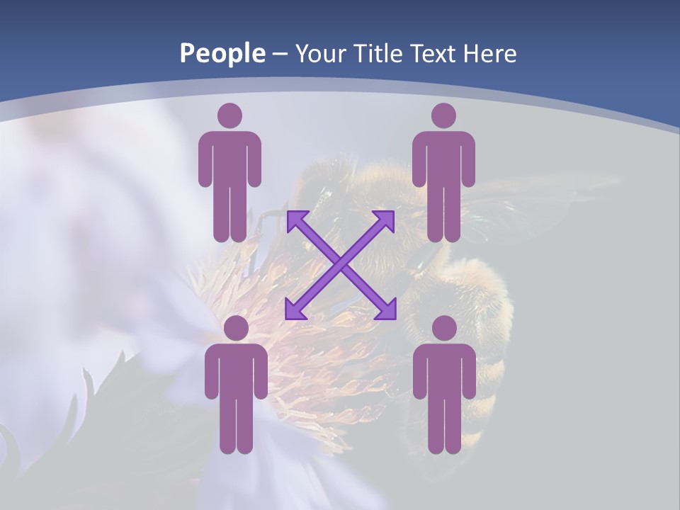 A Bee On A Flower Powerpoint Template PowerPoint Template