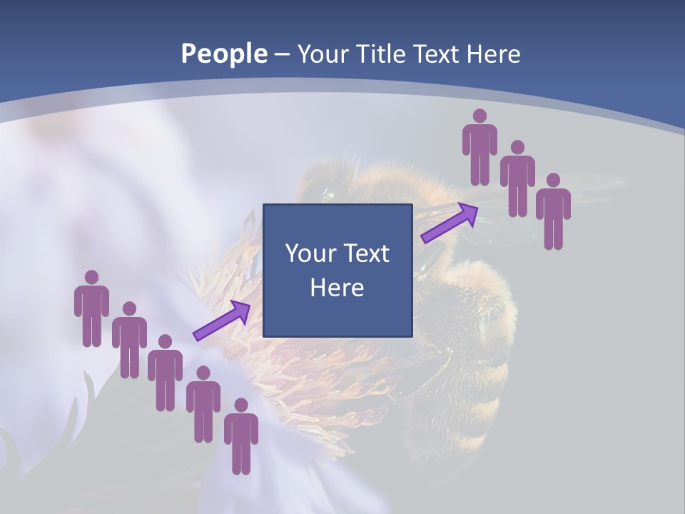 A Bee On A Flower Powerpoint Template PowerPoint Template