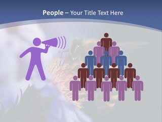 A Bee On A Flower Powerpoint Template PowerPoint Template