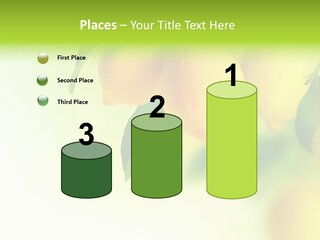 A Group Of Lemons Hanging From A Tree PowerPoint Template