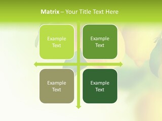 A Group Of Lemons Hanging From A Tree PowerPoint Template