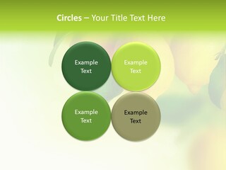 A Group Of Lemons Hanging From A Tree PowerPoint Template