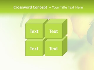 A Group Of Lemons Hanging From A Tree PowerPoint Template