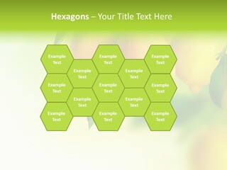 A Group Of Lemons Hanging From A Tree PowerPoint Template