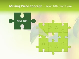 A Group Of Lemons Hanging From A Tree PowerPoint Template