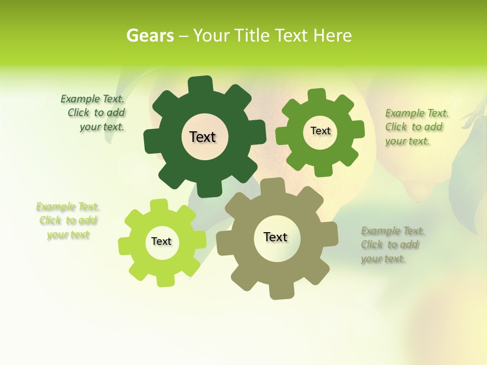 A Group Of Lemons Hanging From A Tree PowerPoint Template