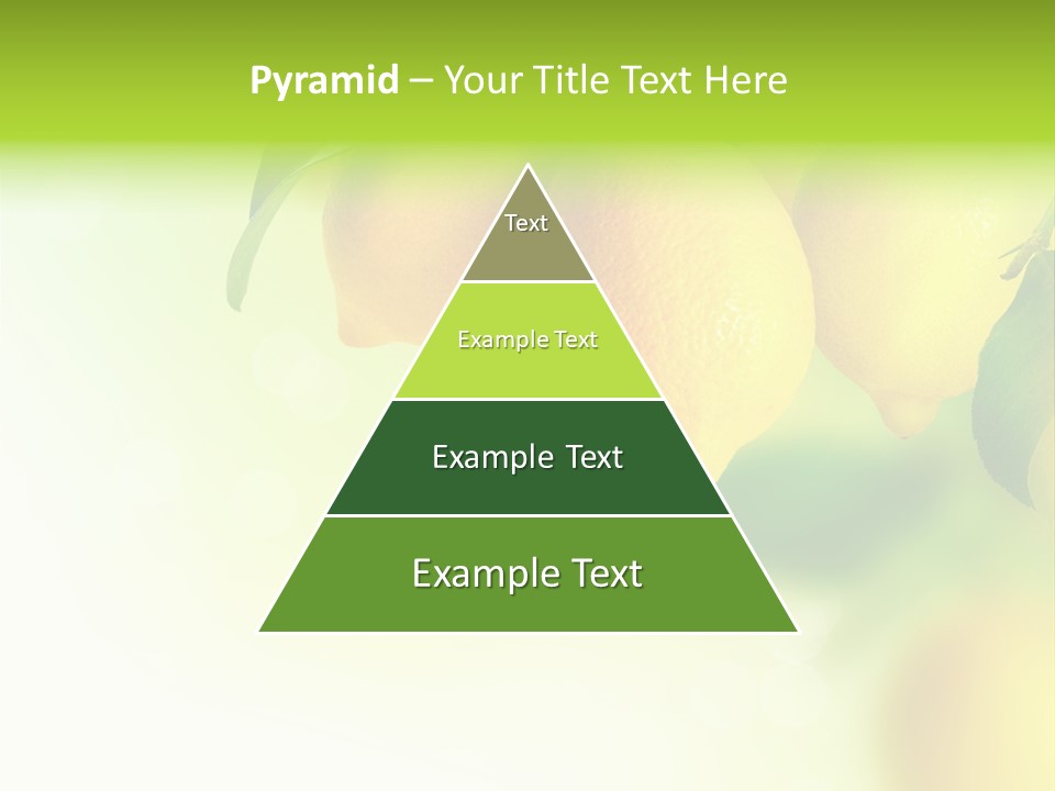 A Group Of Lemons Hanging From A Tree PowerPoint Template