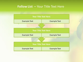 A Group Of Lemons Hanging From A Tree PowerPoint Template