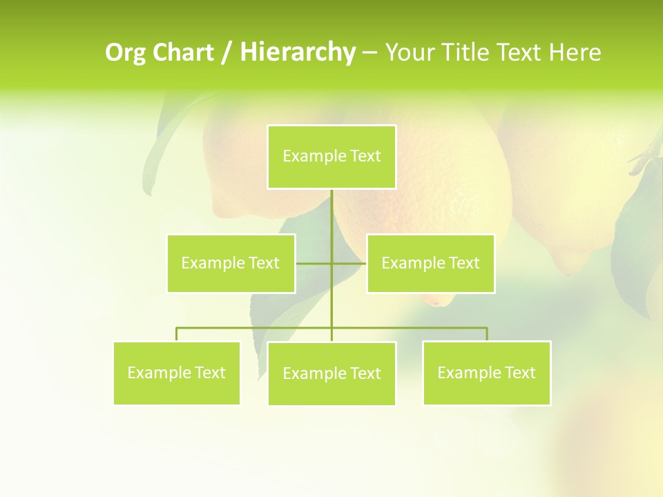 A Group Of Lemons Hanging From A Tree PowerPoint Template